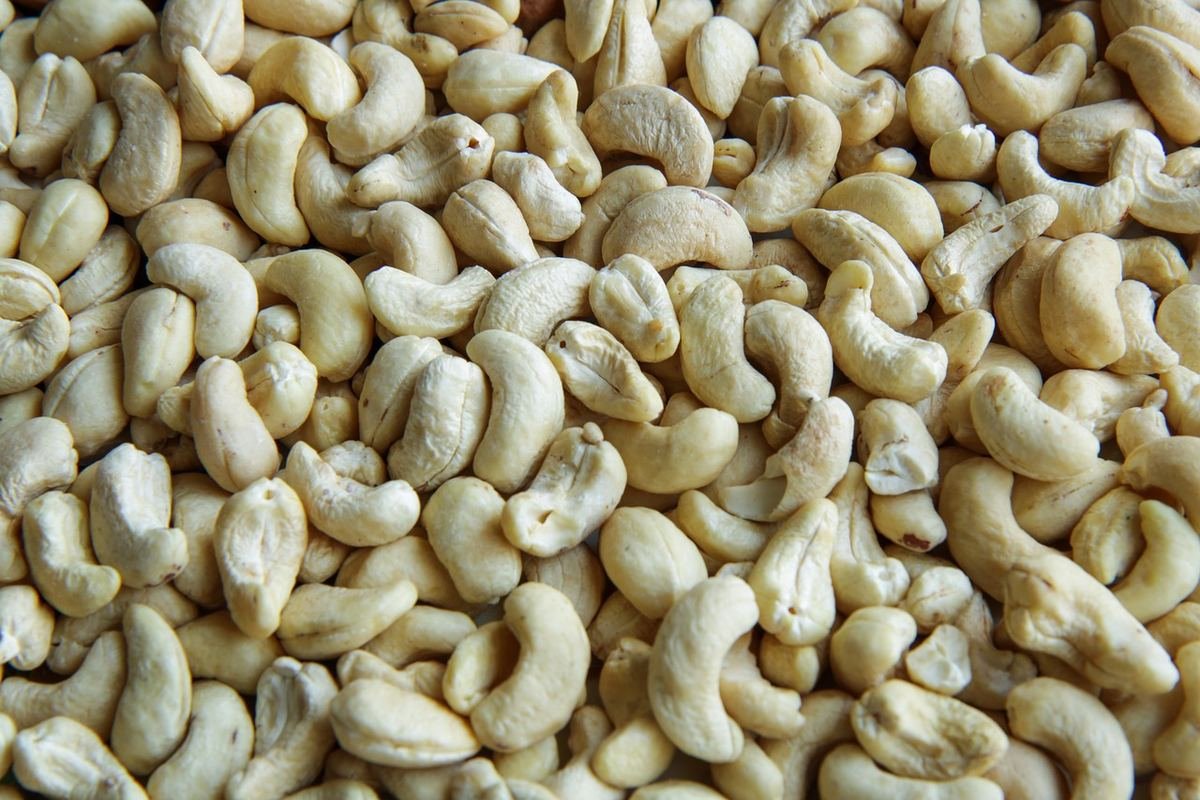 Raw cashew nuts sourced in Nigeria